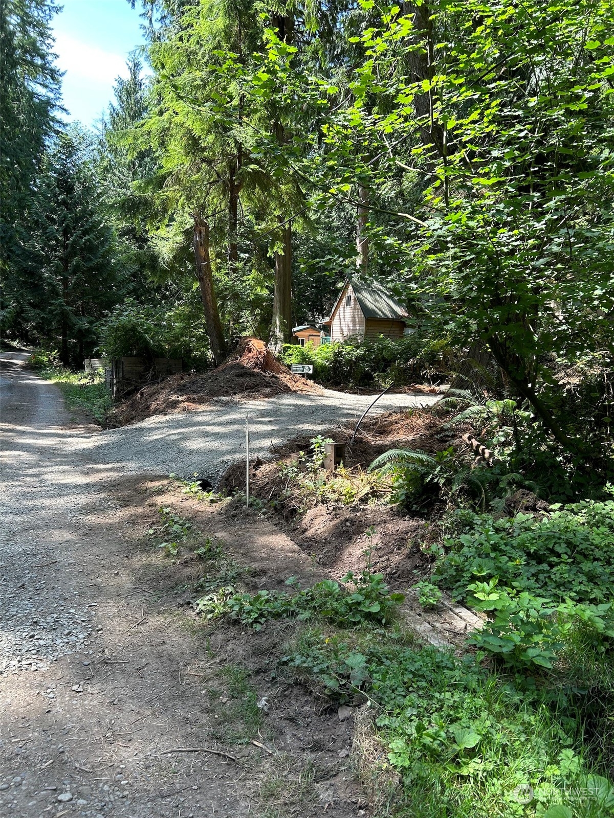 0 Dotson Road Monroe, WA 98272 - Photo 2 of 11 a view of a yard with plants and trees