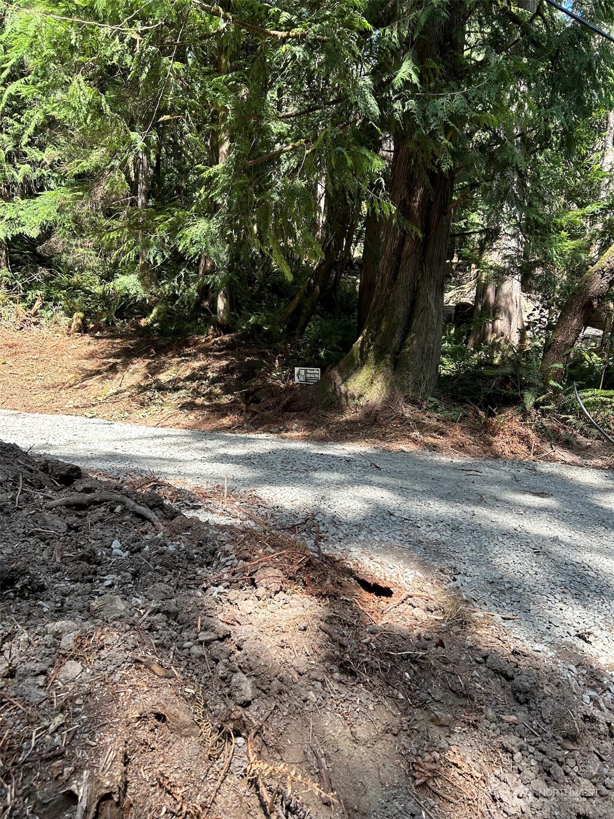 0 Dotson Road Monroe, WA 98272 - Photo 4 of 11 a view of a yard with a tree