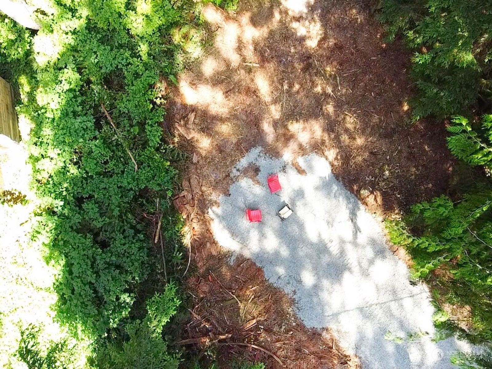 0 Dotson Road Monroe, WA 98272 - Photo 5 of 11 a view of flowers in a yard