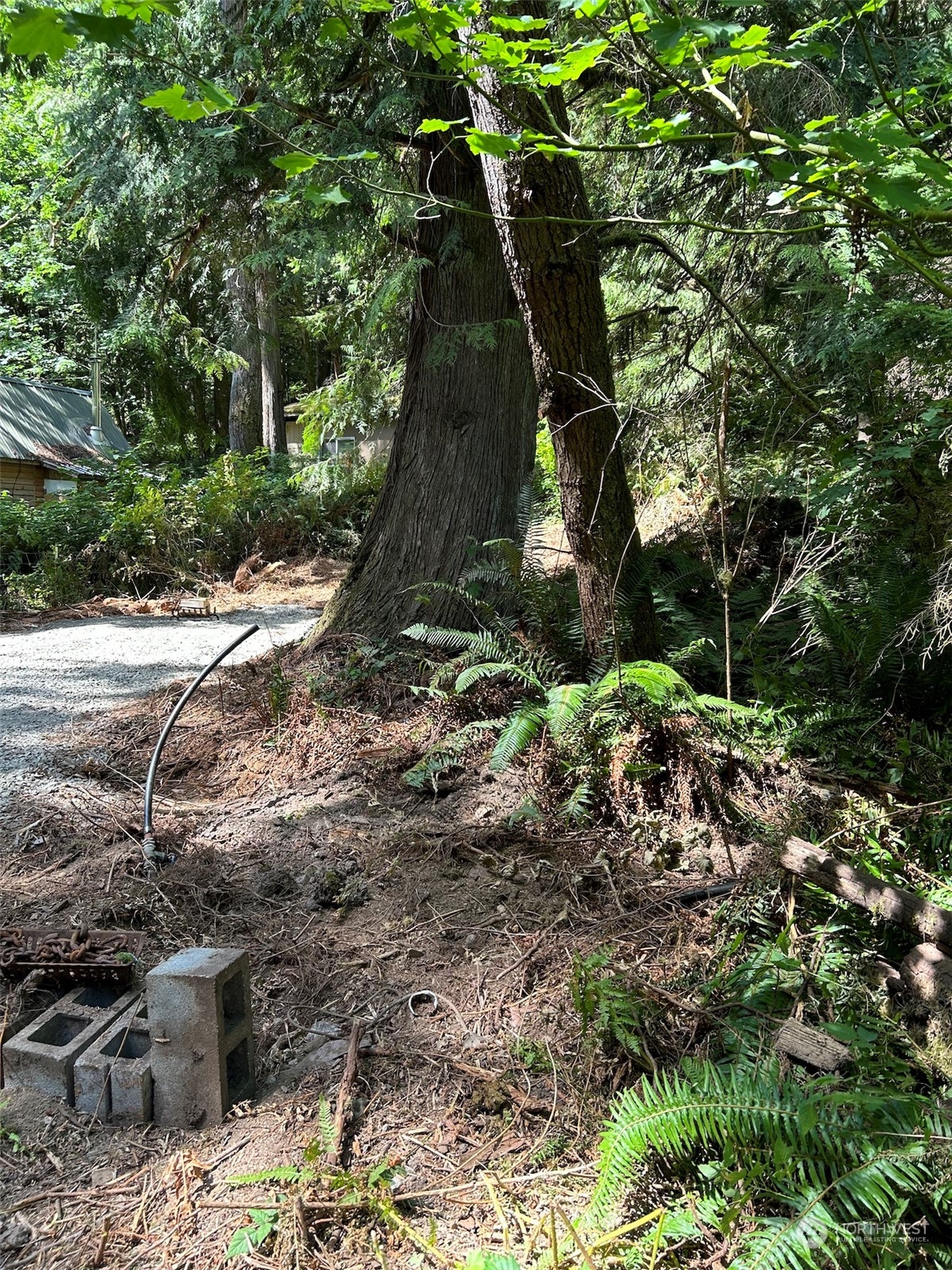 0 Dotson Road Monroe, WA 98272 - Photo 6 of 11 a backyard of a house with lots of green space