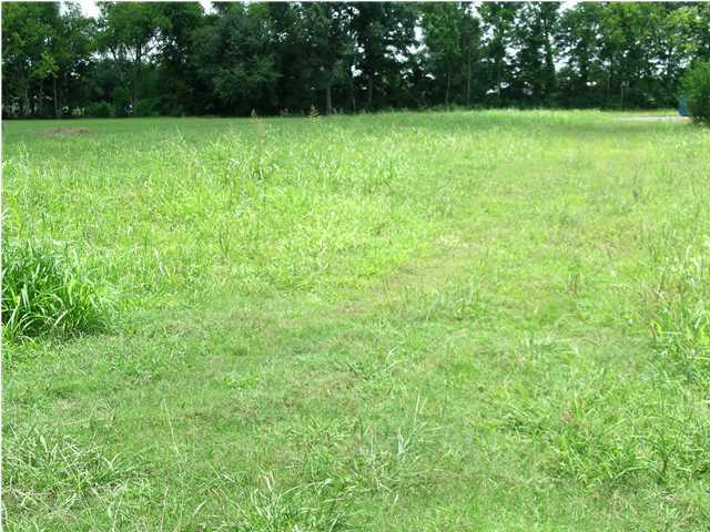 31 Alcide Bonin Road Breaux Bridge, LA 70517 - Photo 1 of 2 Gallery Image 1