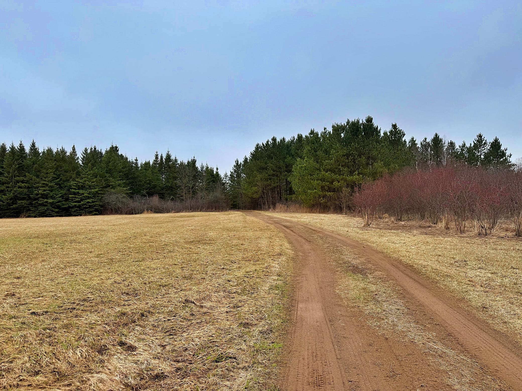 Tbd 370th Lane McGregor, MN 55760 - Photo 11 of 23