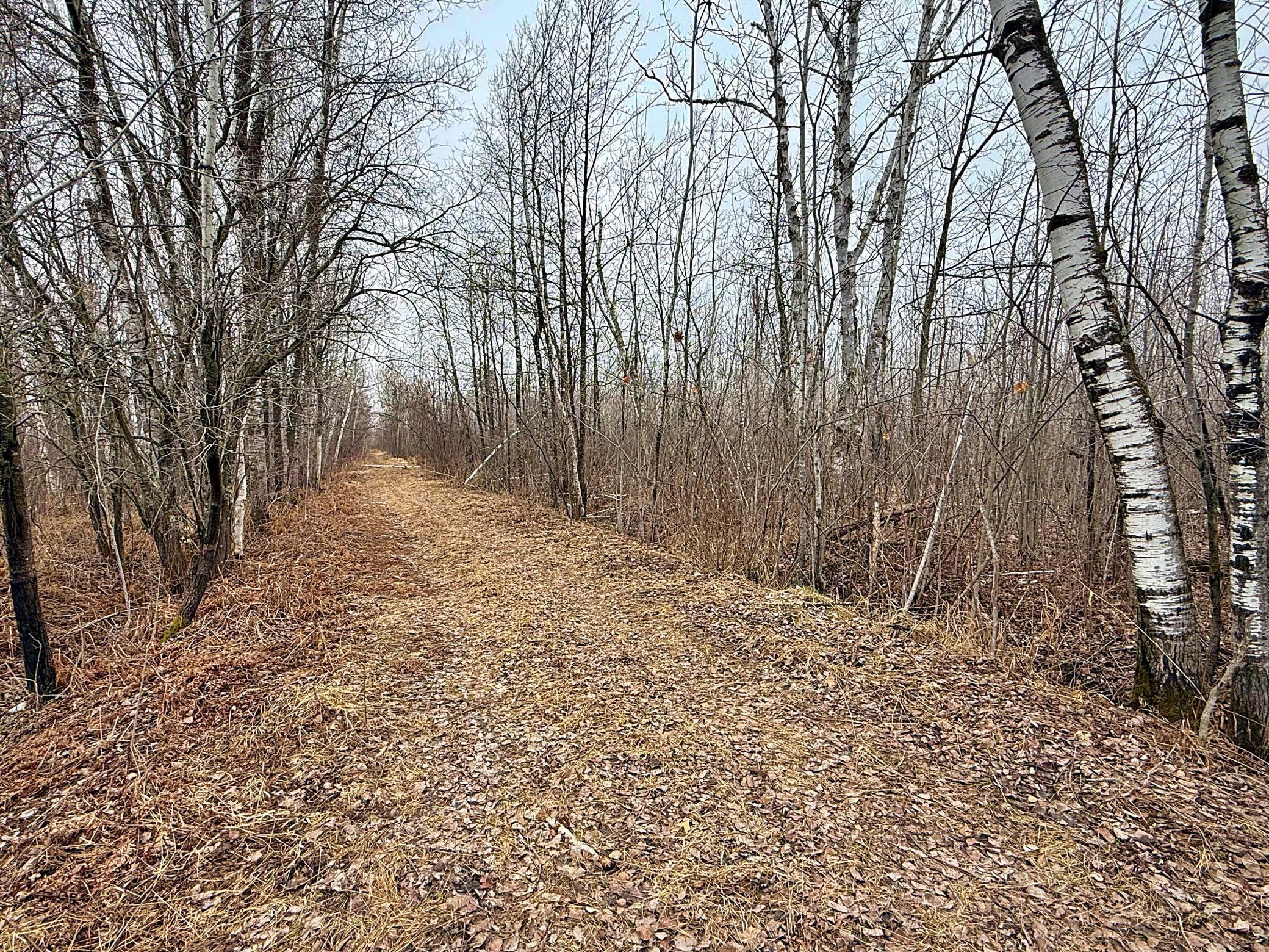 Tbd 370th Lane McGregor, MN 55760 - Photo 14 of 23