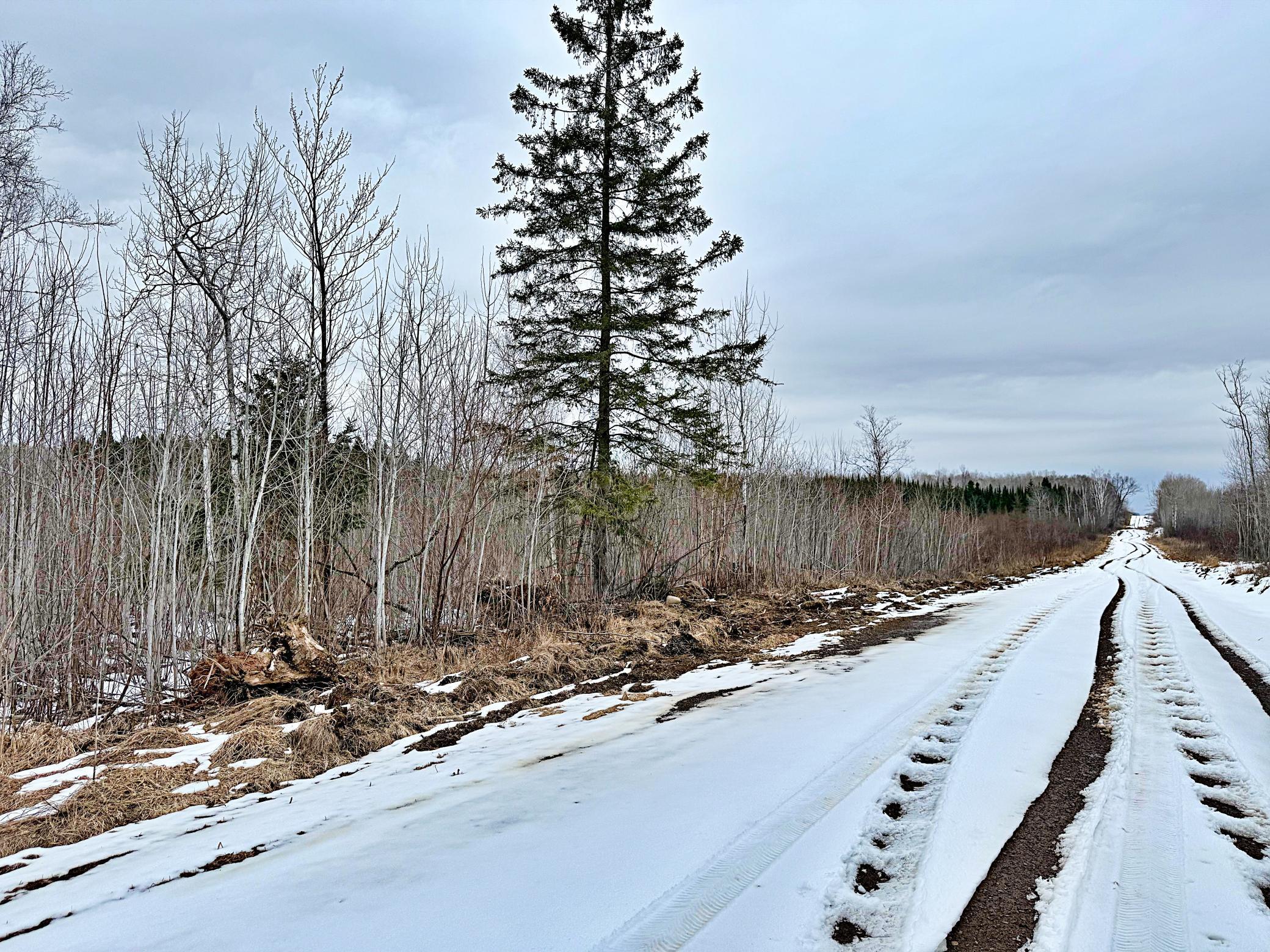 Tbd 370th Lane McGregor, MN 55760 - Photo 20 of 23