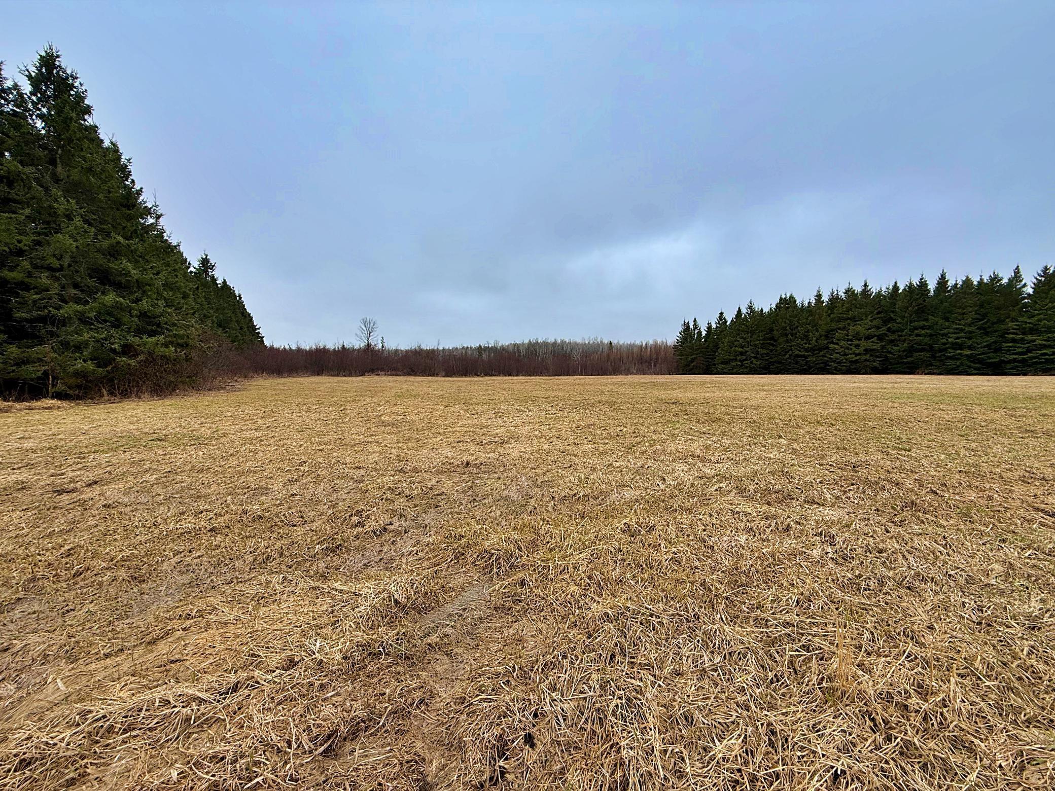 Tbd 370th Lane McGregor, MN 55760 - Photo 10 of 23