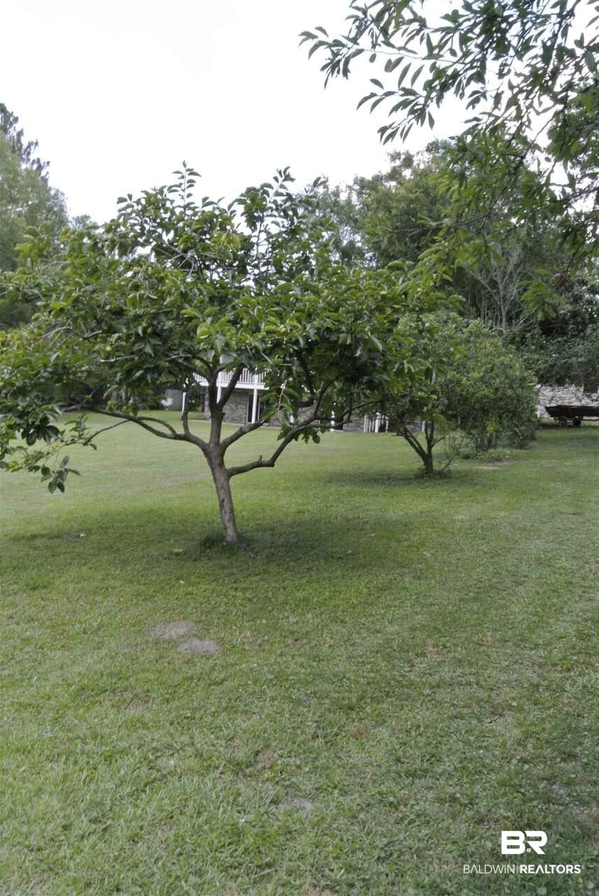 9789 Wolf Creek Ridge Elberta, AL 36530 - Photo 24 of 37