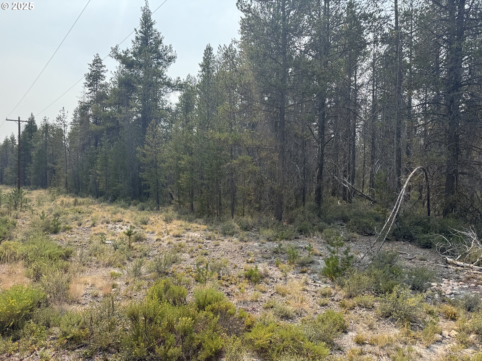 Cloudcap Drive, Unit 1 Chiloquin, OR 97624 - Photo 1 of 23
