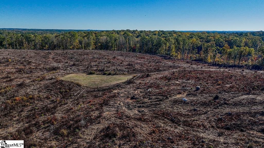 0 Traynham Road Honea Path, SC 29654 - Photo 5 of 13