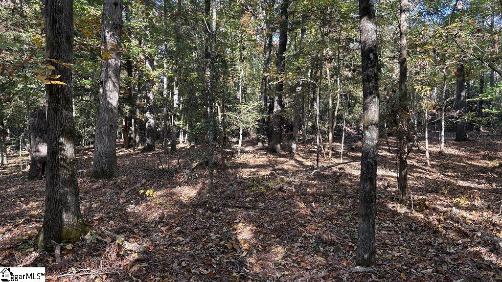 0 Traynham Road Honea Path, SC 29654 - Photo 6 of 13