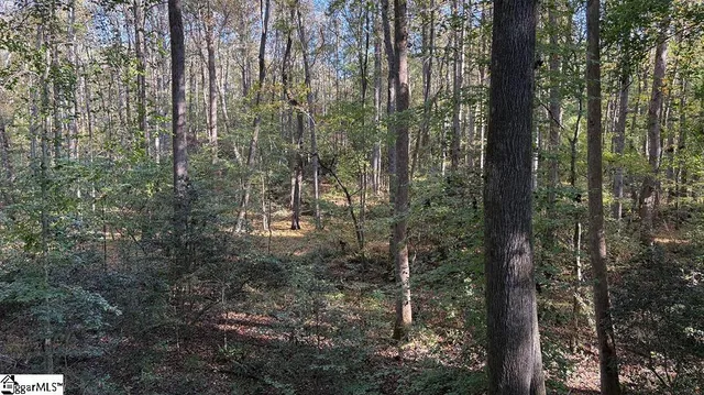 $1,950,000 | 0 Traynham Road, Honea Path, SC 29654