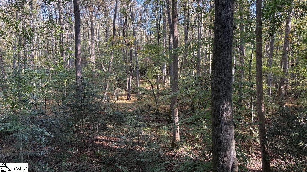 0 Traynham Road Honea Path, SC 29654 - Photo 9 of 15