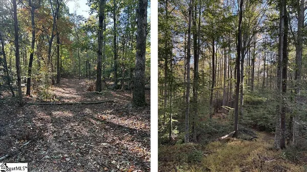 $1,950,000 | 0 Traynham Road, Honea Path, SC 29654
