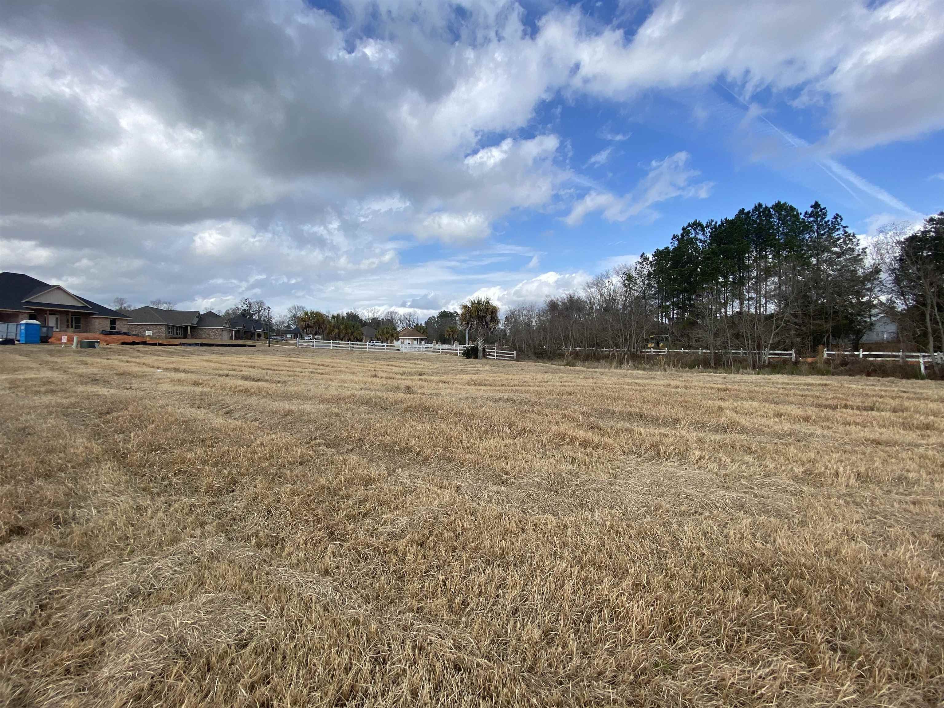 Lot 31 Edgewater Circle Loxley, AL 36551 - Photo 4 of 8