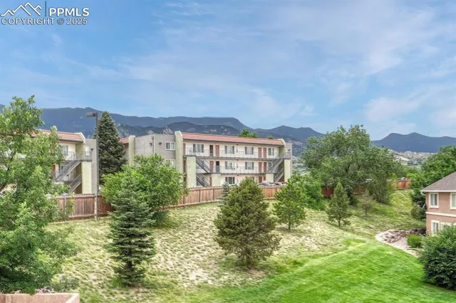 a view of a big yard with plants and trees