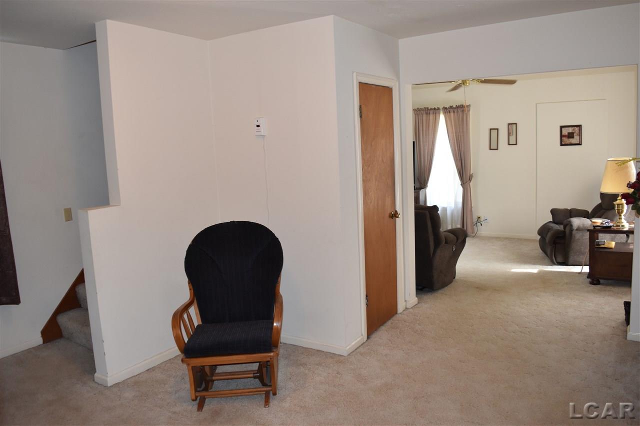 329 Merrick Street Adrian, MI 49221 - Photo 8 of 25 FAMILY ROOM 2