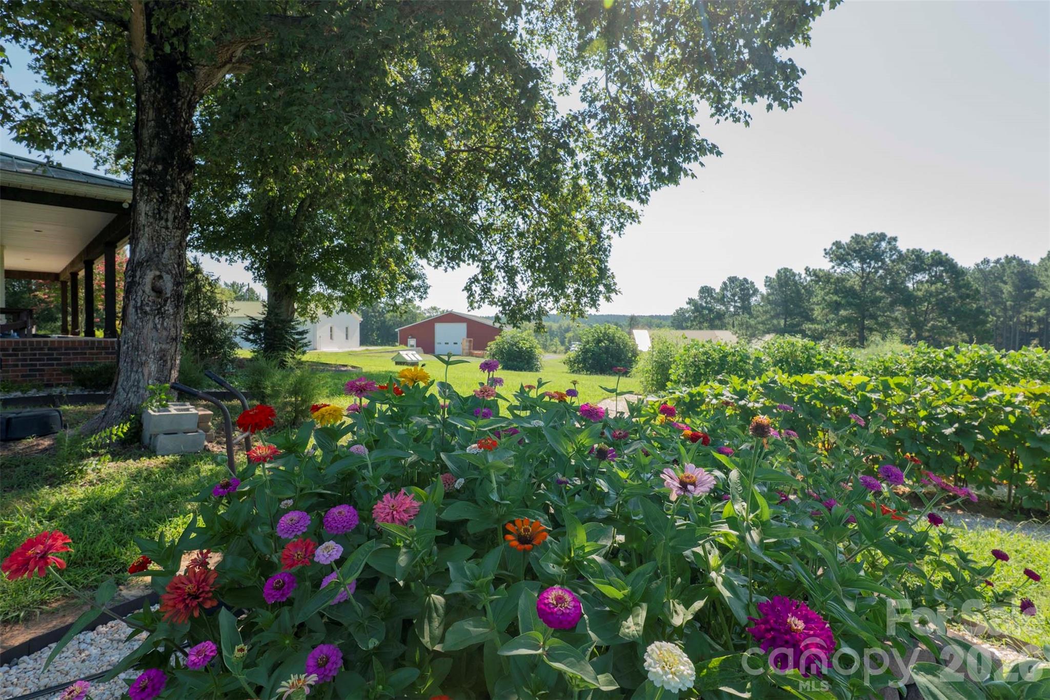 3175 Trotter Road Asheboro, NC 27205 - Photo 13 of 48