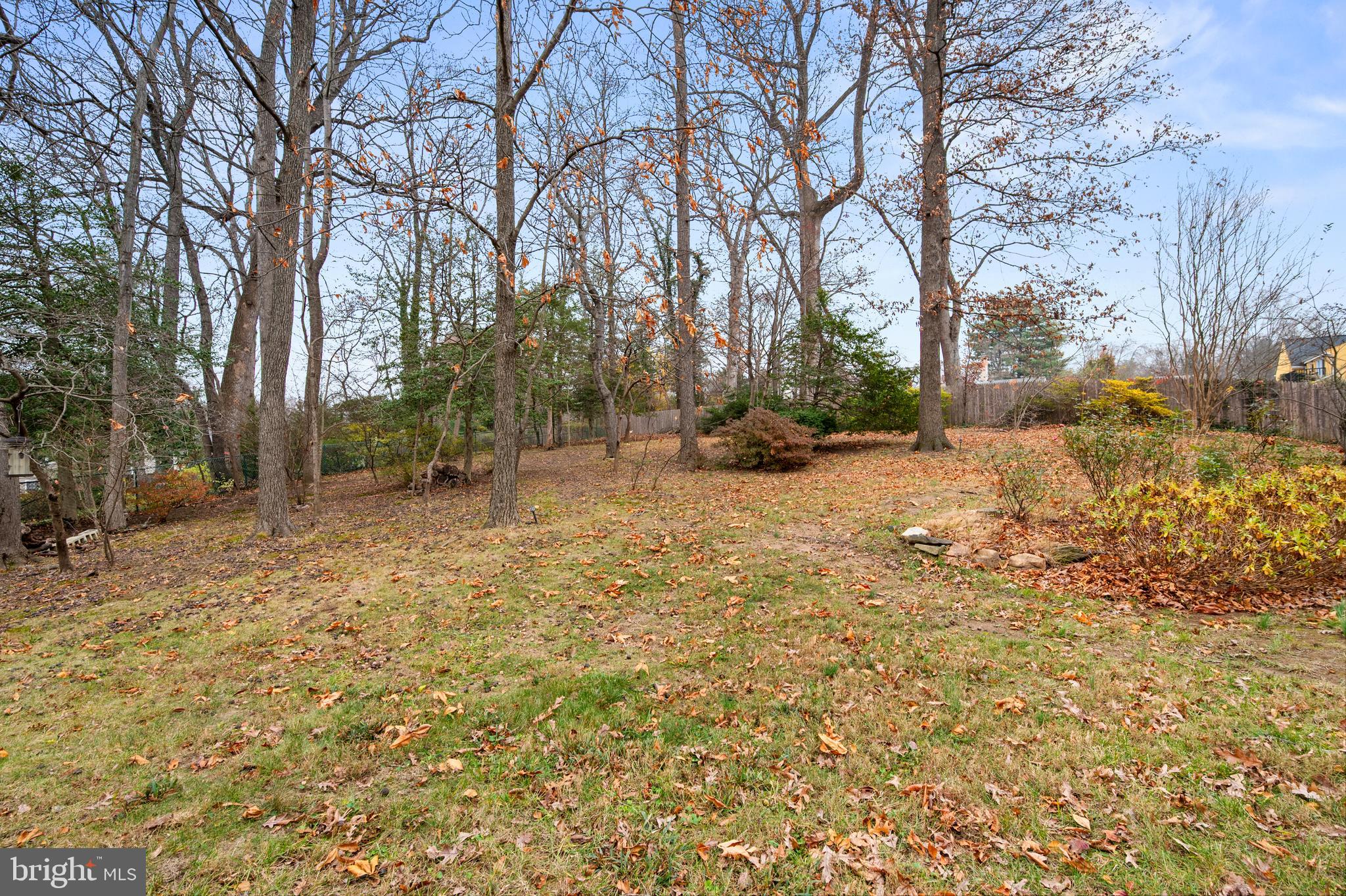 13625 Middlevale Lane Silver Spring, MD 20906 - Photo 28 of 30 Backyard