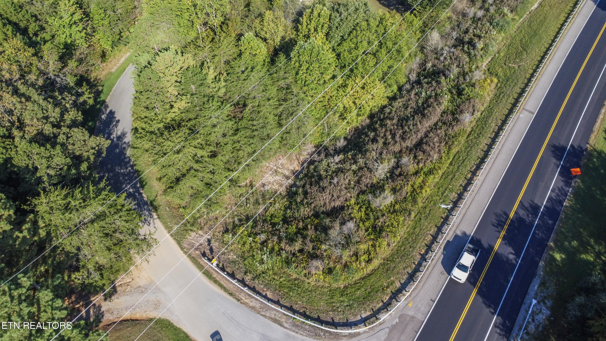 16511 Highway 72 Loudon, TN 37774 - Photo 11 of 21 a close up of a plant in a window
