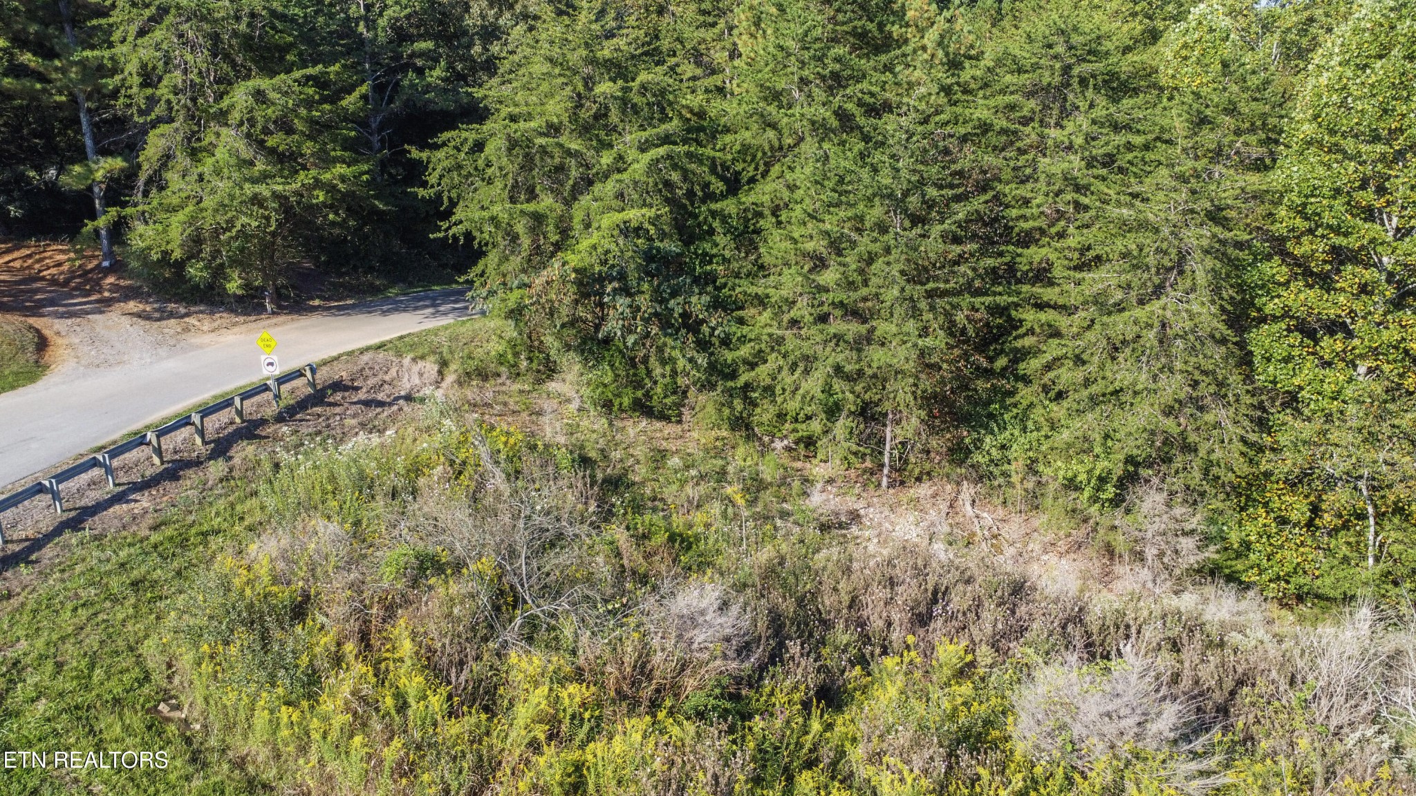 16511 Highway 72 Loudon, TN 37774 - Photo 18 of 21 a view of a yard with plants and trees