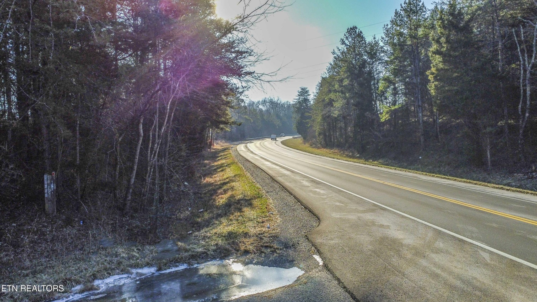 16511 Highway 72 Loudon, TN 37774 - Photo 7 of 21 a view of a yard with a trees