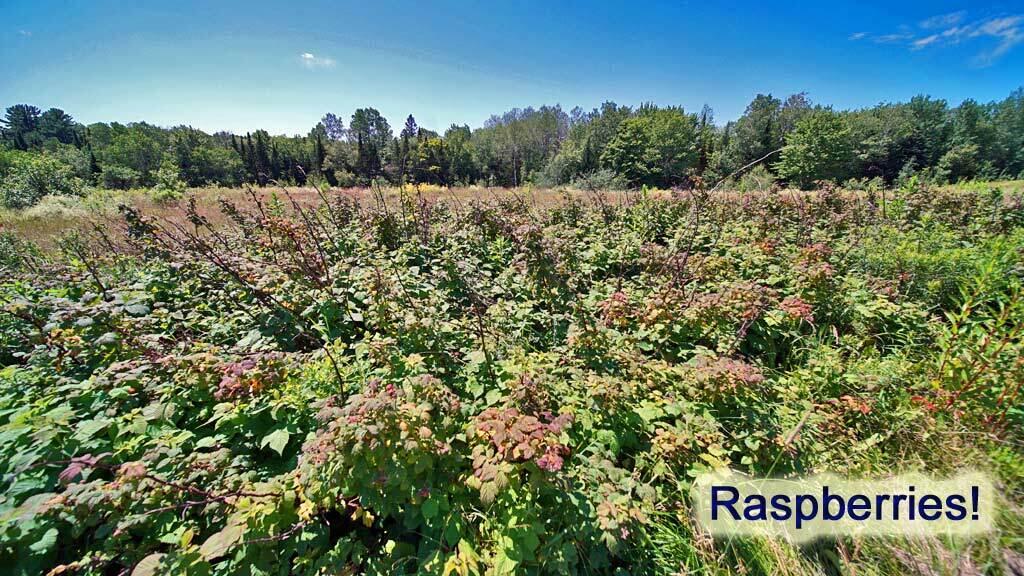 60 Smyrna Center Road Smyrna, ME 04780 - Photo 11 of 52 60-smyrna-center-rd-4