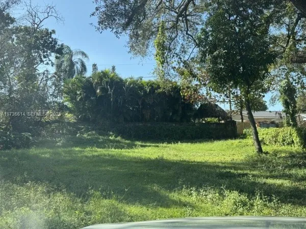 a view of a yard