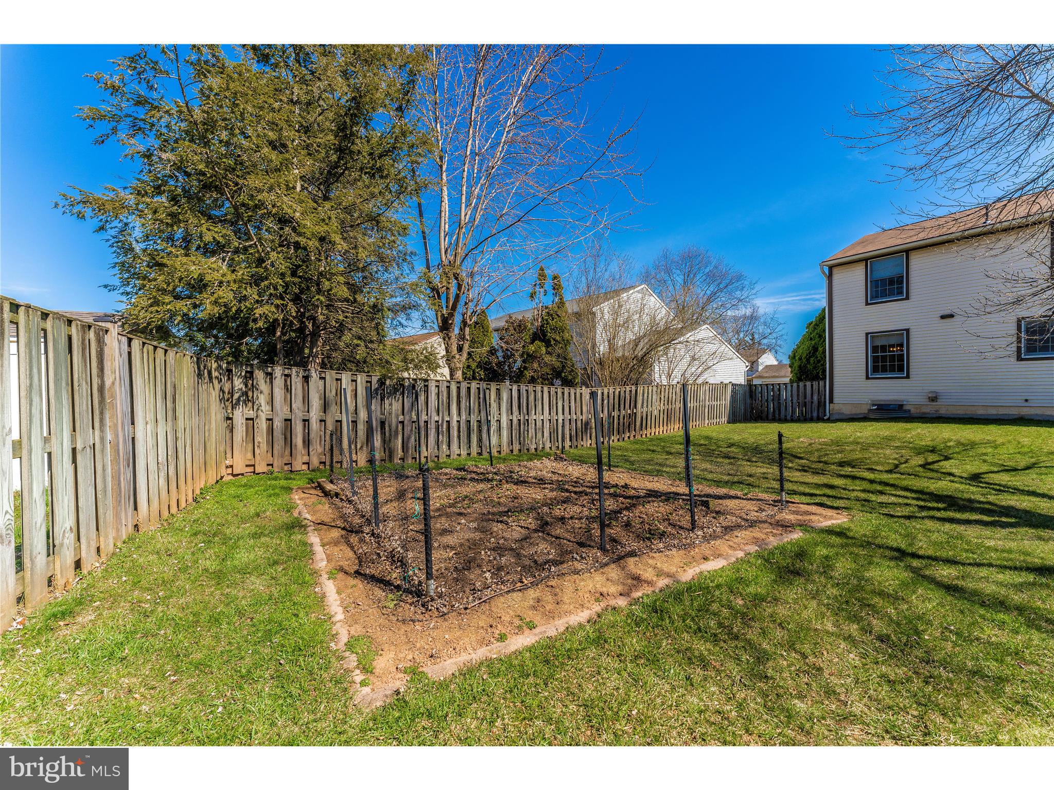 595 Pumphouse Road Frederick, MD 21703 - Photo 40 of 50 Strawberry and Rhubard Pie are in your future!