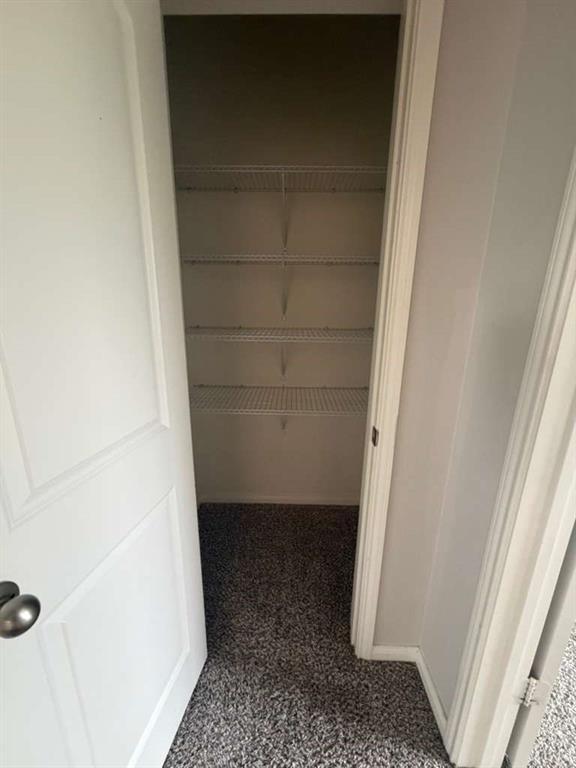 310 Foster Lane Anna, TX 75409 - Photo 10 of 15 Interior closet featuring multiple wire shelving units, gray textured carpet, and white trim