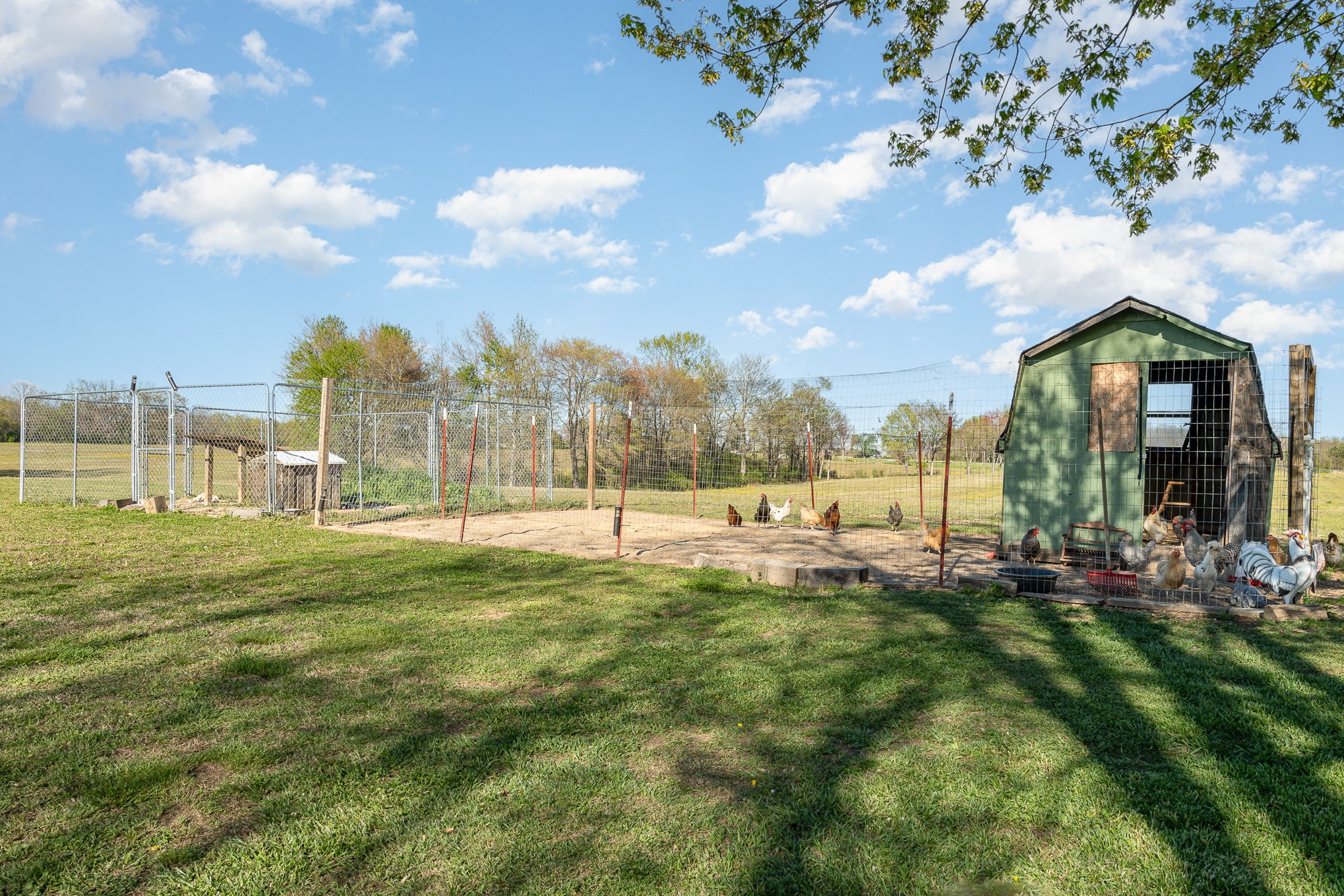 22 West Edan Road Ethridge, TN 38456 - Photo 9 of 35 Gallery Image 9