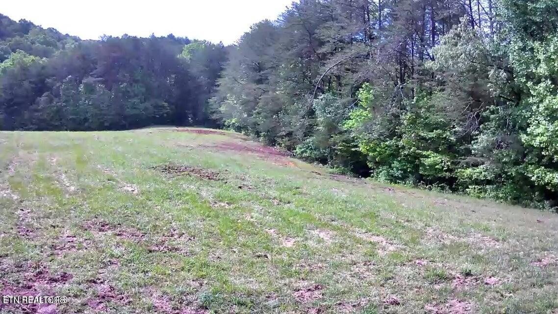 188 Dalton Branch Road Tellico Plains, TN 37385 - Photo 12 of 42