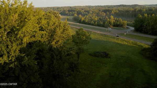 a view of a lush green forest with a lake view
