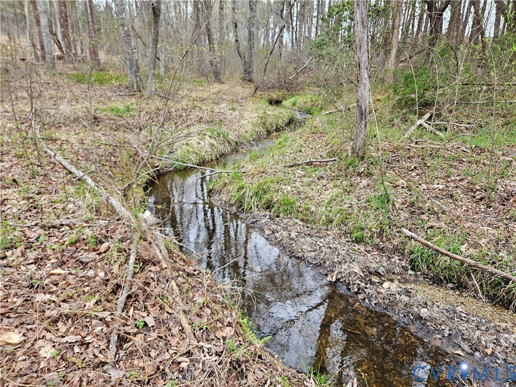 83.86-ac South James River Road Buckingham, VA 23921 - Photo 15 of 21