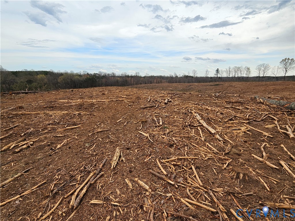 83.86-ac South James River Road Buckingham, VA 23921 - Photo 17 of 21