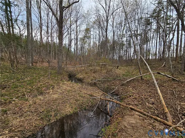 $200,000 | 83.86-ac South James River Road, Buckingham, VA 23921