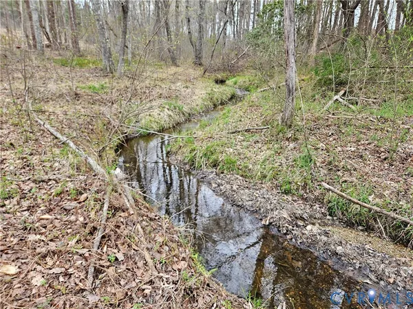 $200,000 | 83.86-ac South James River Road, Buckingham, VA 23921