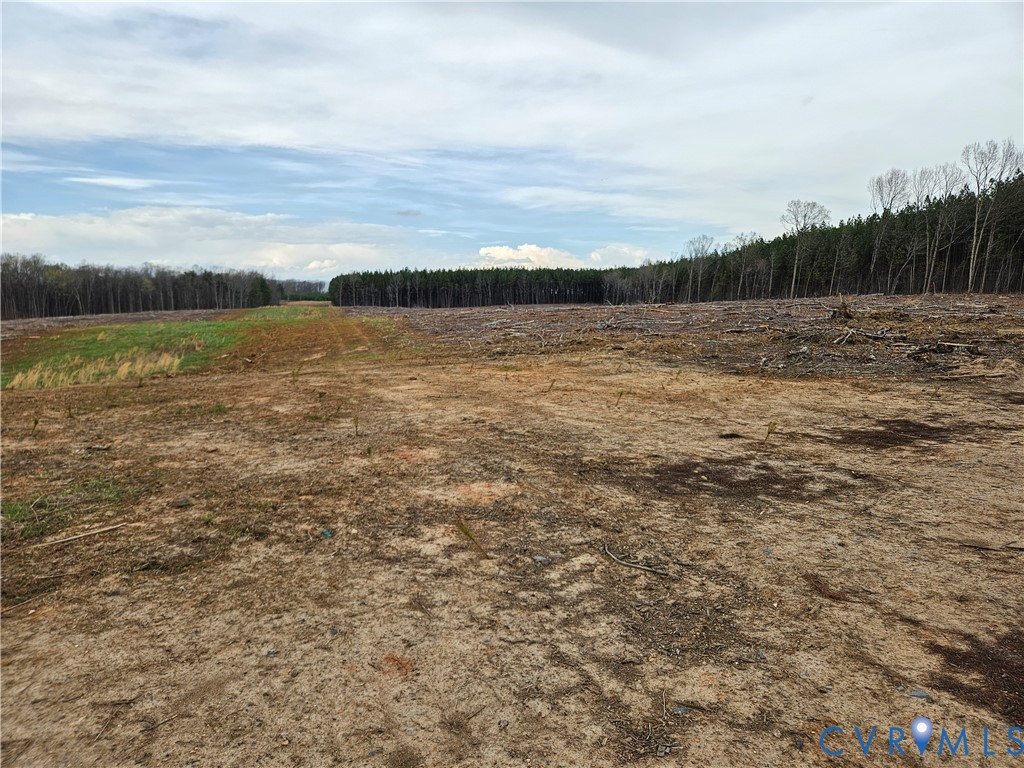 83.86-ac South James River Road Buckingham, VA 23921 - Photo 21 of 24
