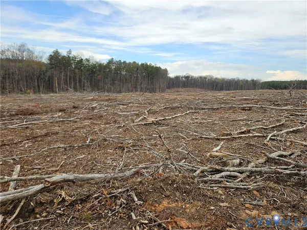 $200,000 | 83.86-ac South James River Road, Buckingham, VA 23921