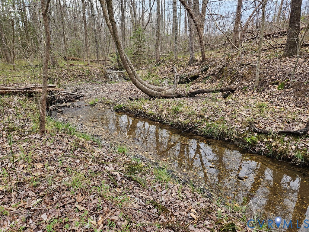 83.86-ac South James River Road Buckingham, VA 23921 - Photo 5 of 24 a view of water with a large tree