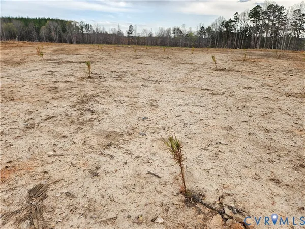 $200,000 | 83.86-ac South James River Road, Buckingham, VA 23921