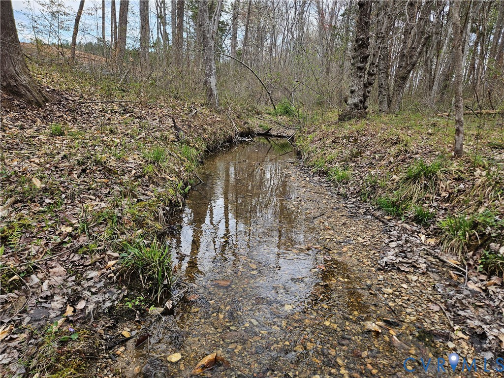 83.86-ac South James River Road Buckingham, VA 23921 - Photo 10 of 21