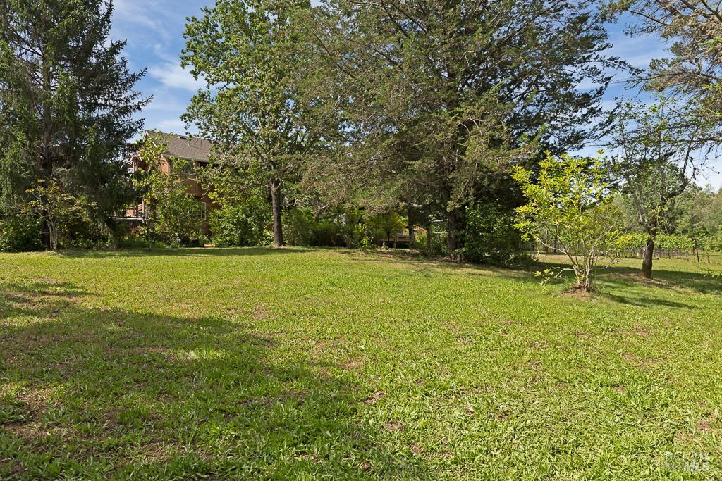 4542 Thomas Road Sebastopol, CA 95472 - Photo 34 of 60 a view of a field with trees