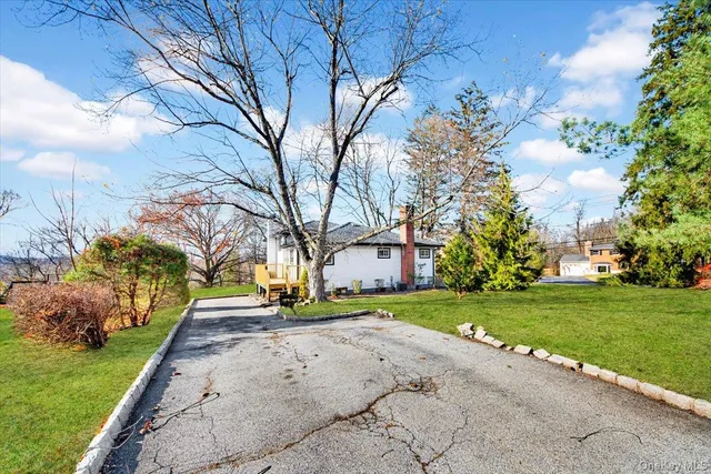 a view of a park with a large trees