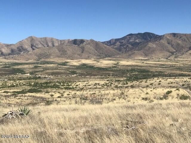 Dragoon Mountains in far ground