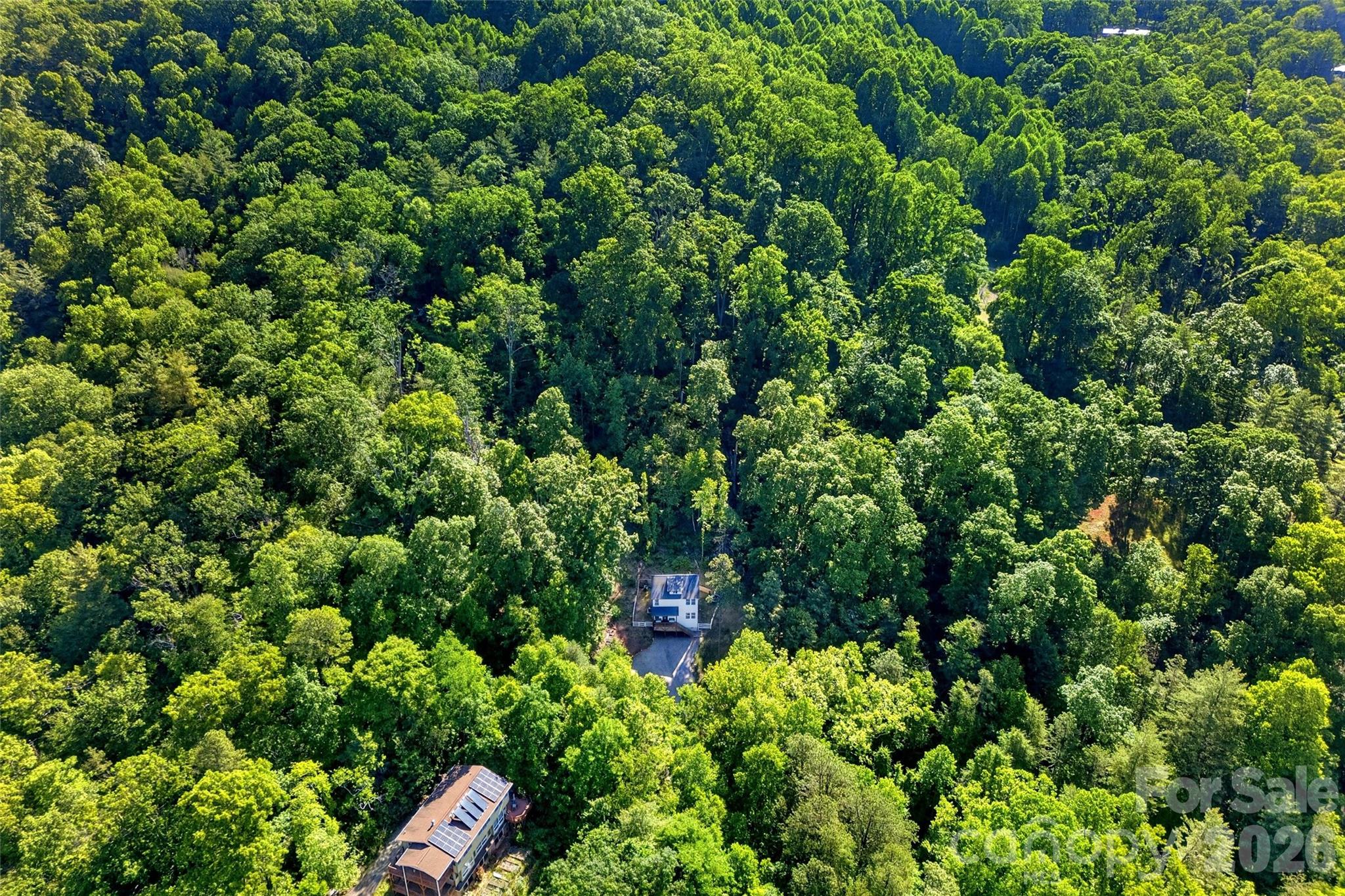 215 David Rdg Road Black Mountain, NC 28711 - Photo 47 of 48