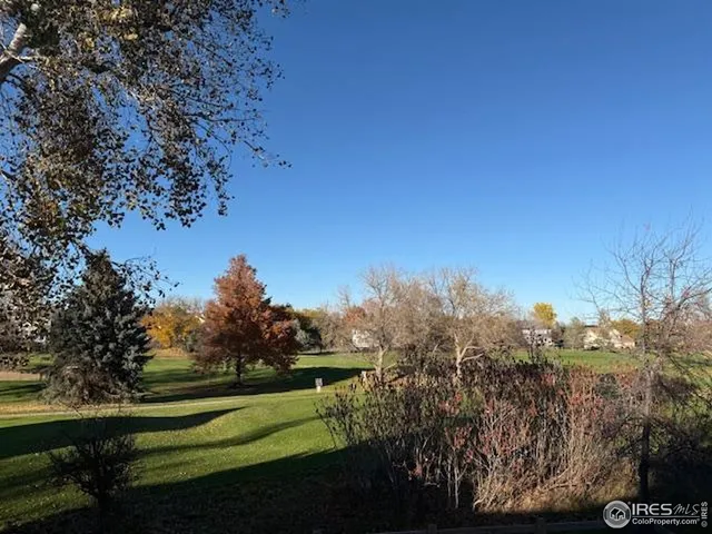 a green field with lots of trees in the background