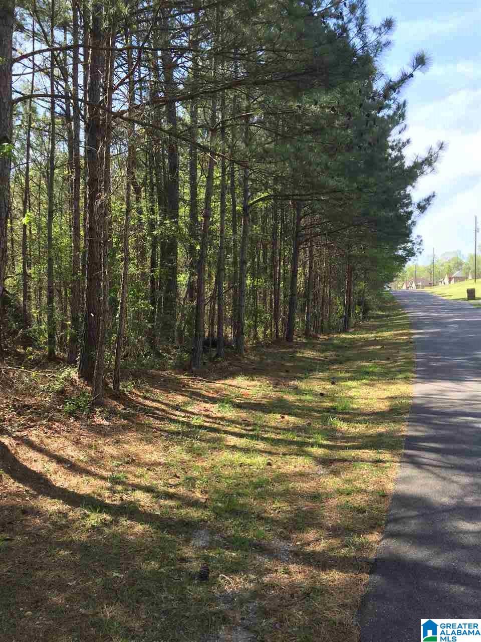 1331 Cedar Creek Road, Unit 4 ACRES Odenville, AL 35120 - Photo 9 of 20