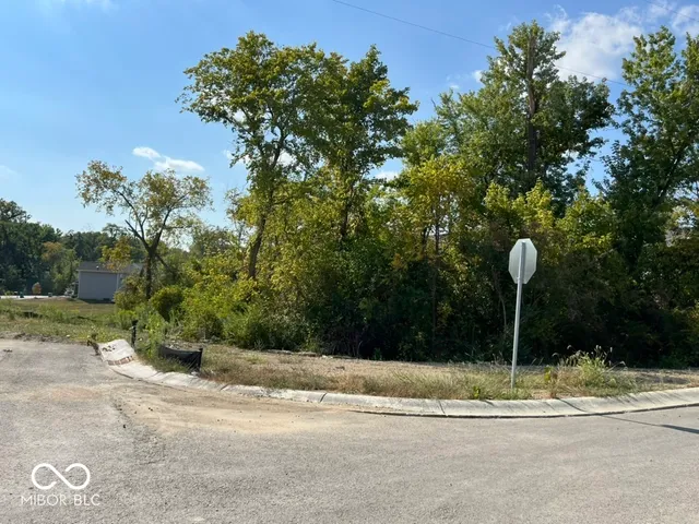 $20,000 | 2878 Emerald Street, Indianapolis, IN 46268