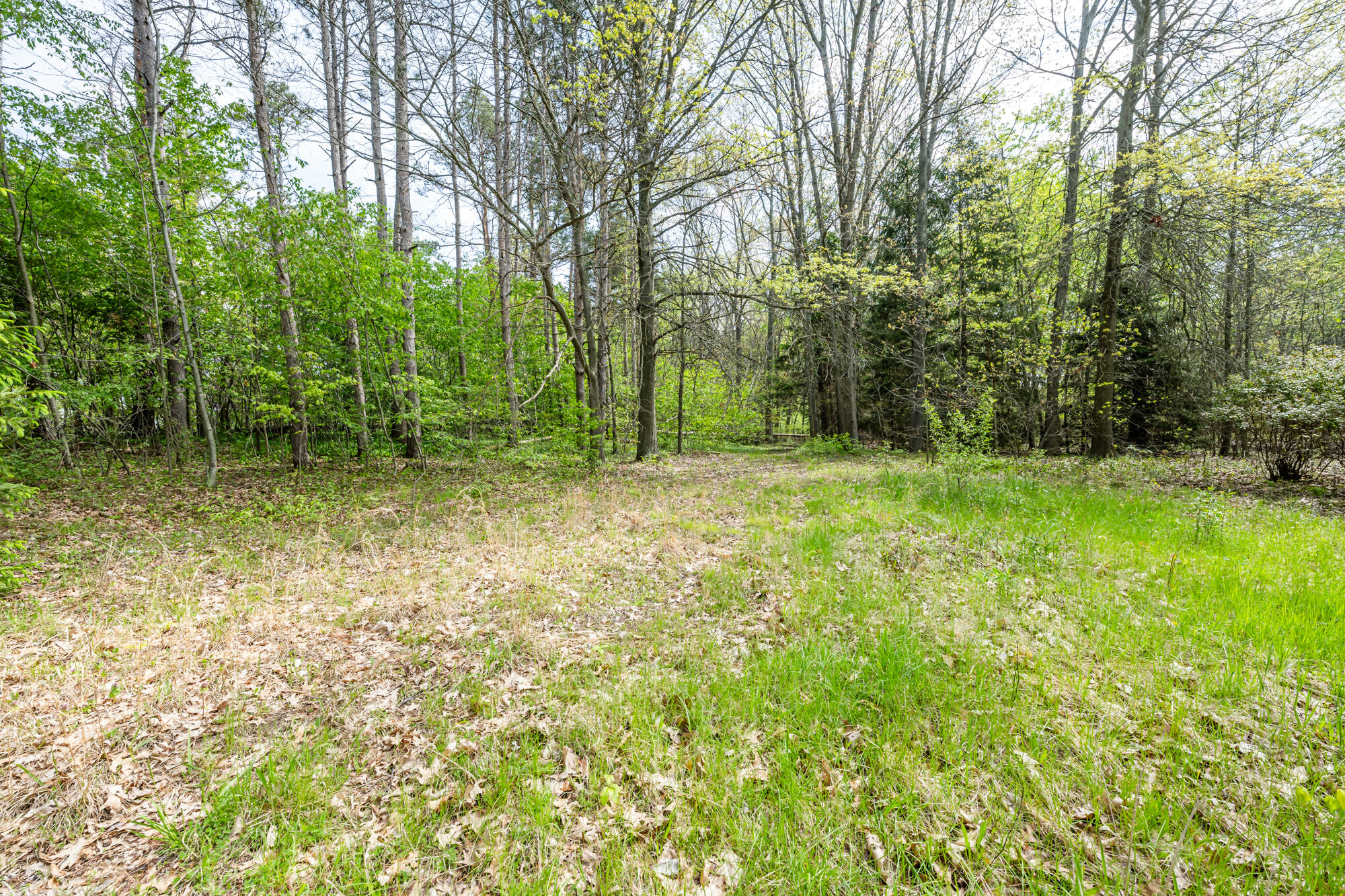 A Linke Road Bridgman, MI 49106 - Photo 9 of 24 Linke-216