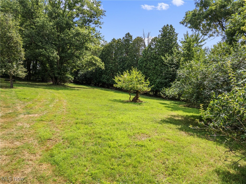 Elberta Avenue Southwest Canton, OH 44709 - Photo 2 of 10