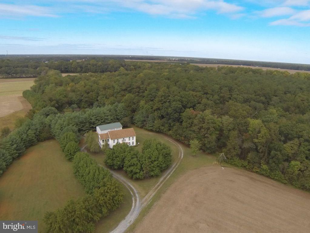 5742 Adams Road Federalsburg, MD 21632 - Photo 3 of 28 Gallery Image 3